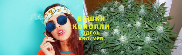 тгк Володарск