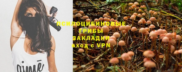 соль ск Волосово