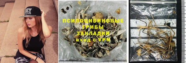 тгк Володарск